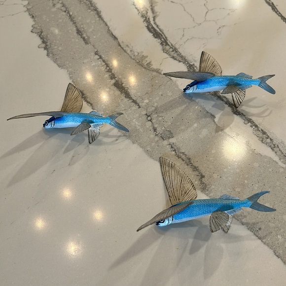 Flying fish mounts - Picture 4 of 4